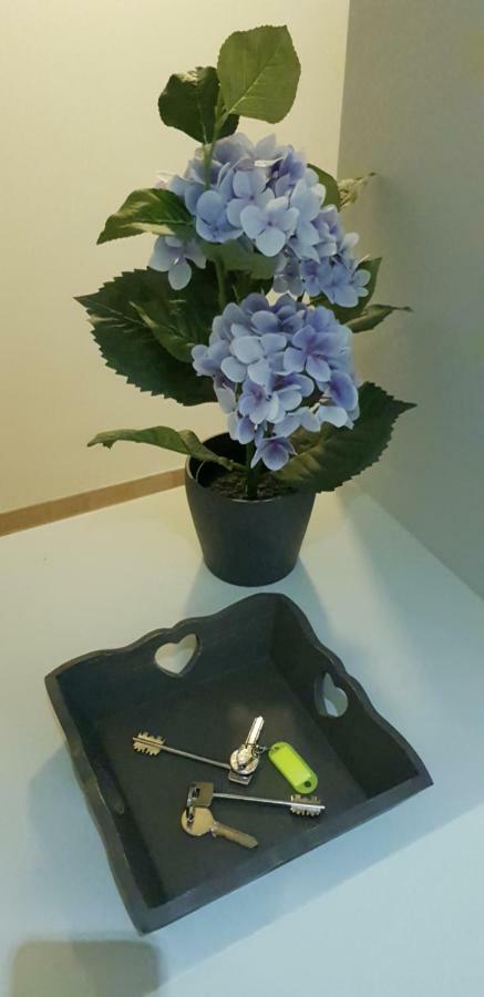 Campo De Fiori House Apartment โรม ภายนอก รูปภาพ